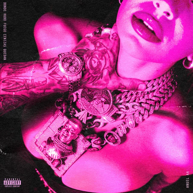 Significado de Donde Hubo Fuego Cenizas Quedan de Anuel AA - Anuel AA